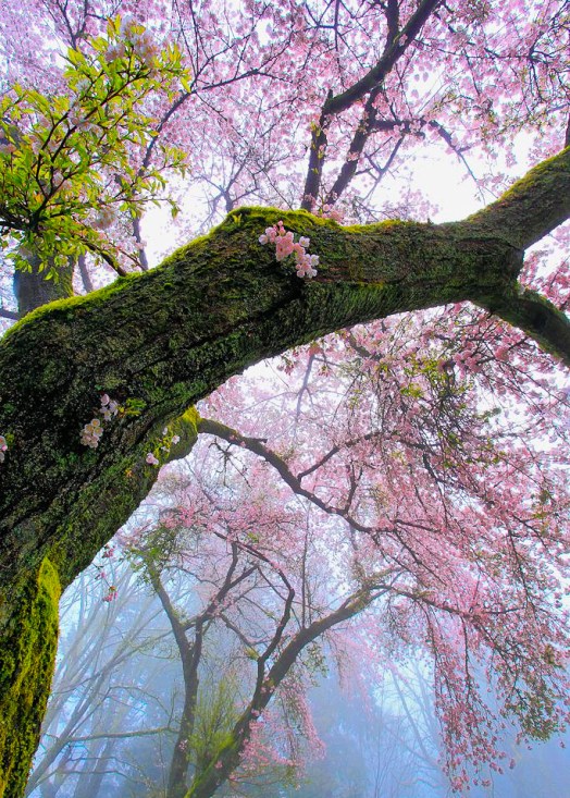 tumblr_olrcnyGqBr1szm930o1_1280