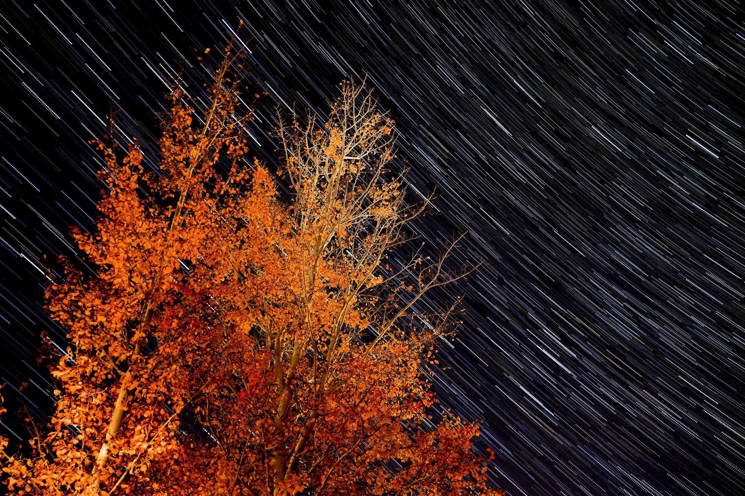 john-jennings-431248-unsplash